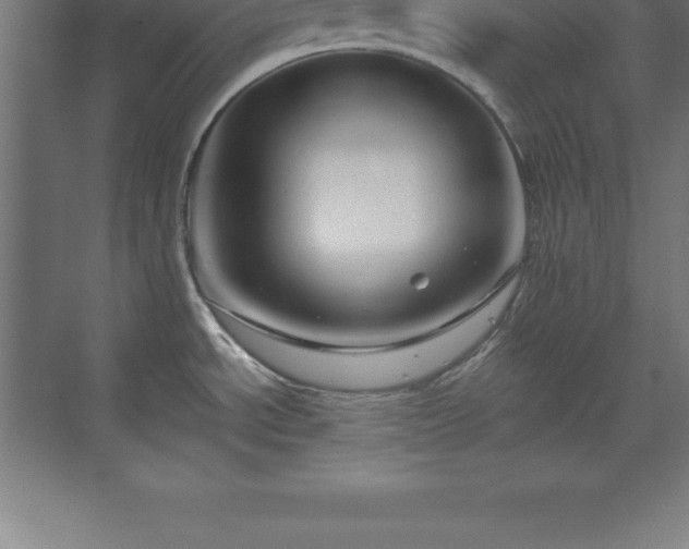 X0000070211534200606021242