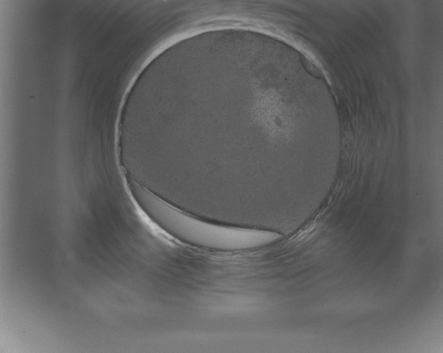 X0000070211535200606021242