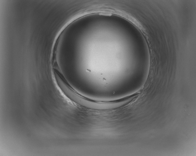 X0000070211536200606021242