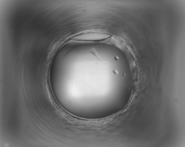 X0000070210001200606091636