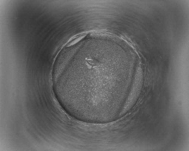 X0000070210002200606091636