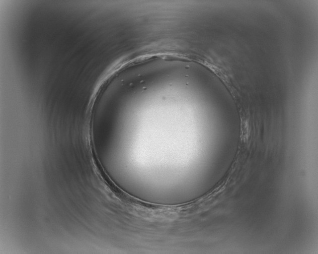 X0000070210004200606091636