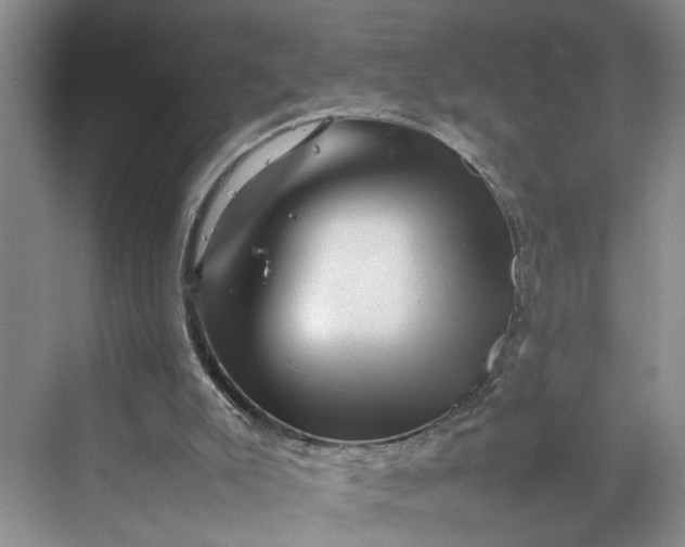 X0000070210007200606091636