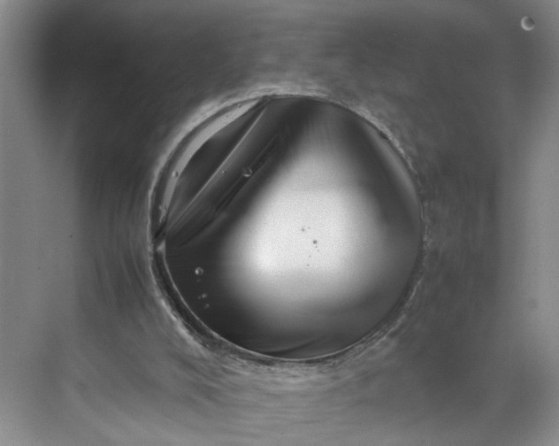 X0000070210008200606091636