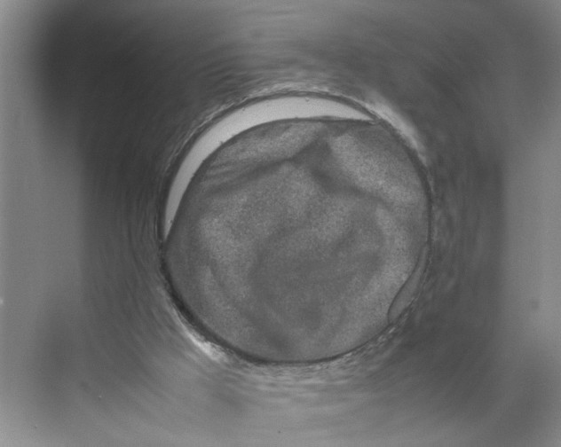 X0000070210009200606091636