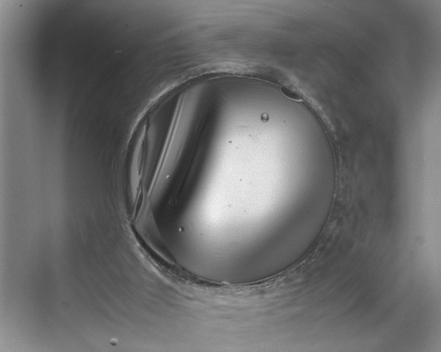 X0000070210011200606091636