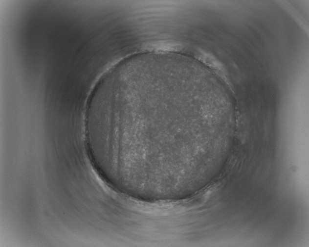 X0000070210012200606091636