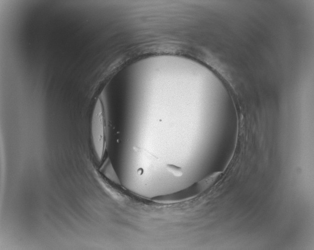 X0000070210013200606091636