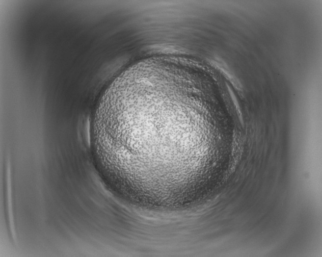 X0000070210014200606091636