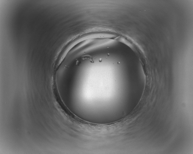 X0000070210015200606091636