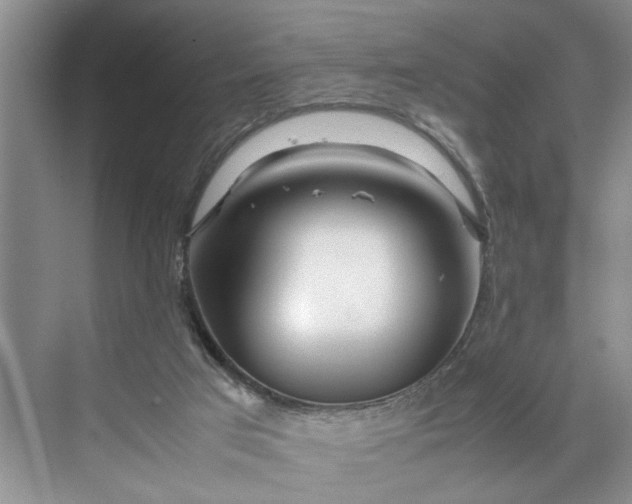 X0000070210017200606091636