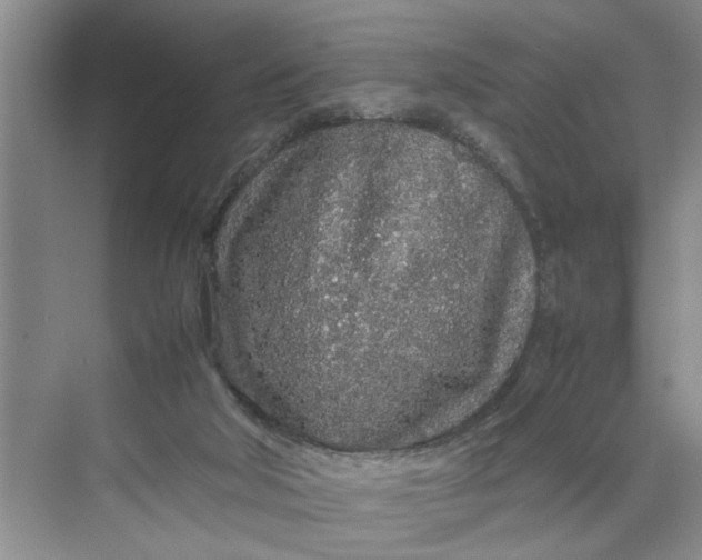 X0000070210018200606091636