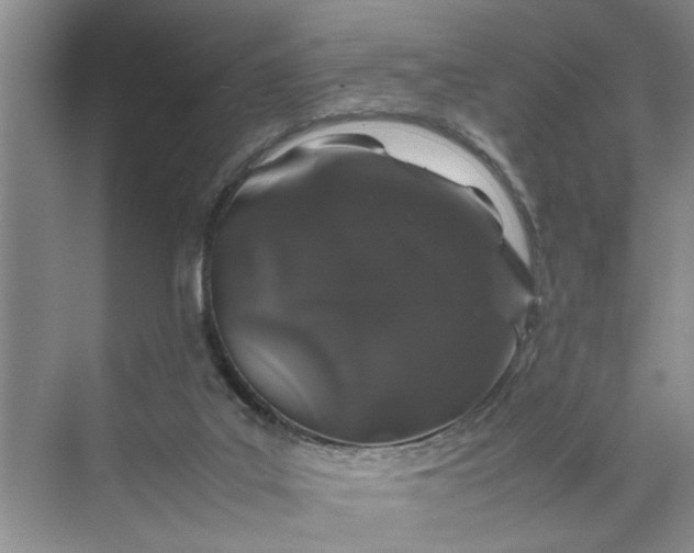 X0000070210019200606091636