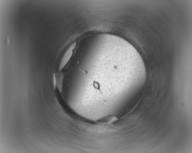 X0000070210020200606091636