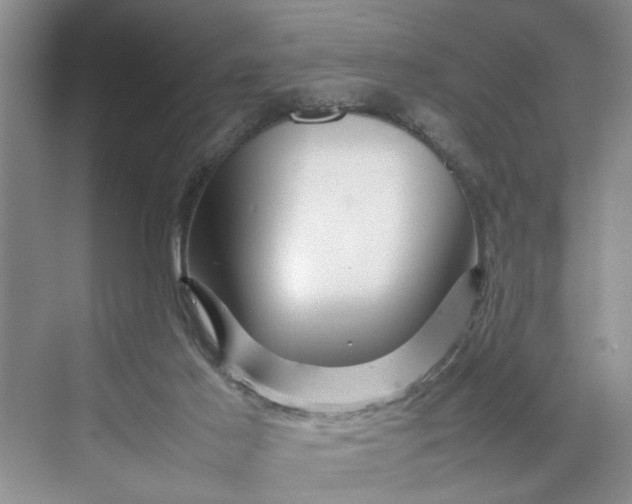 X0000070210021200606091636