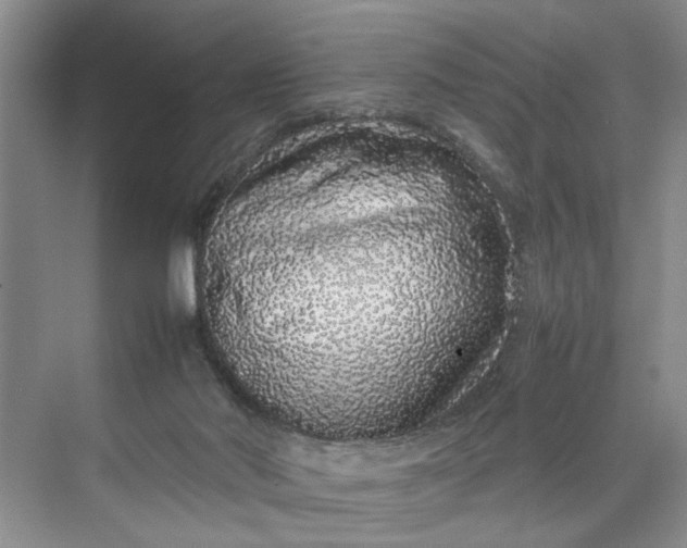 X0000070210022200606091636