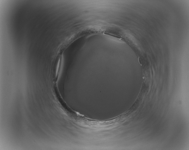 X0000070210023200606091636