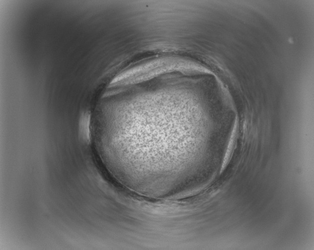 X0000070210024200606091636