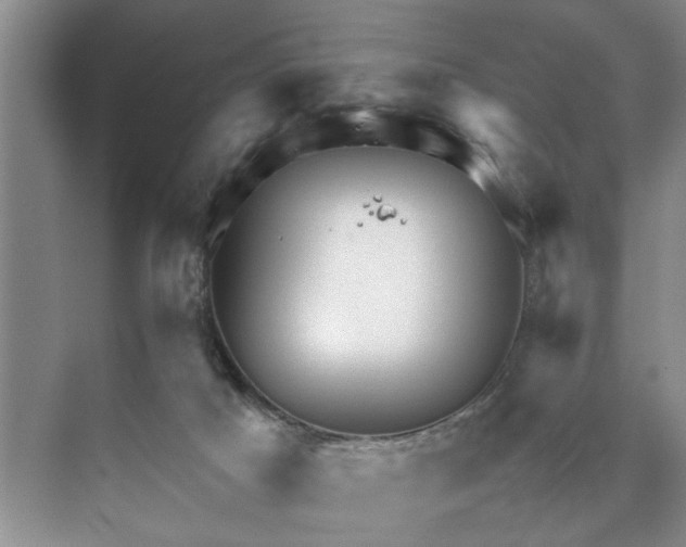 X0000070210025200606091636