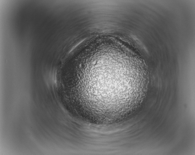 X0000070210026200606091636