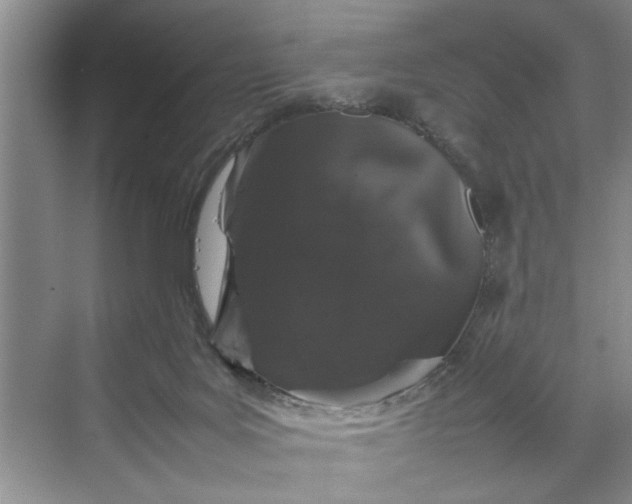 X0000070210027200606091636