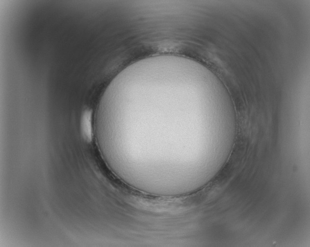 X0000070210028200606091636