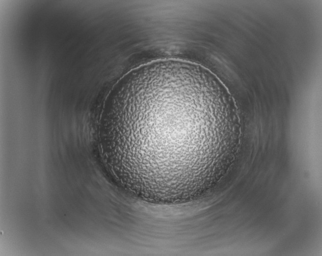 X0000070210030200606091636