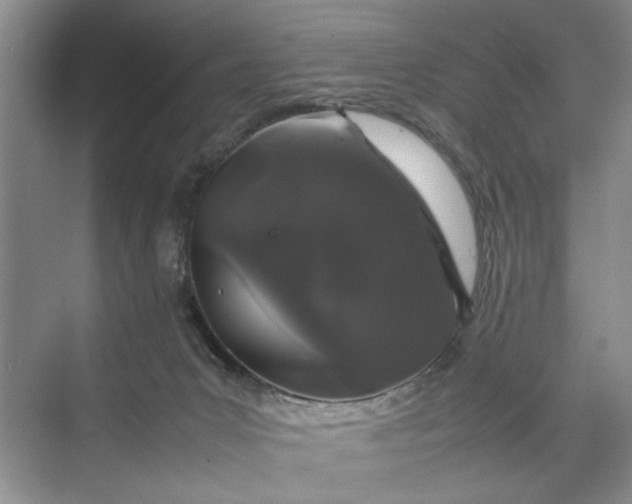 X0000070210031200606091636