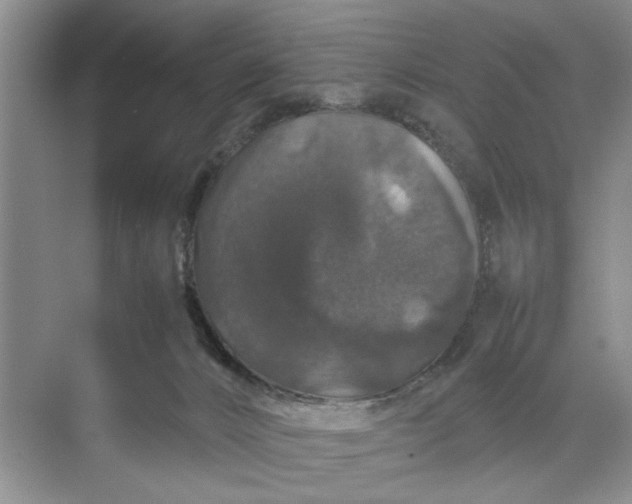 X0000070210032200606091636