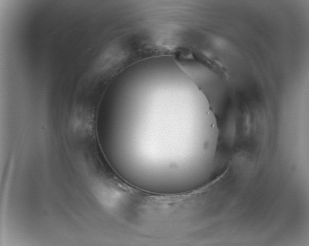 X0000070210033200606091636