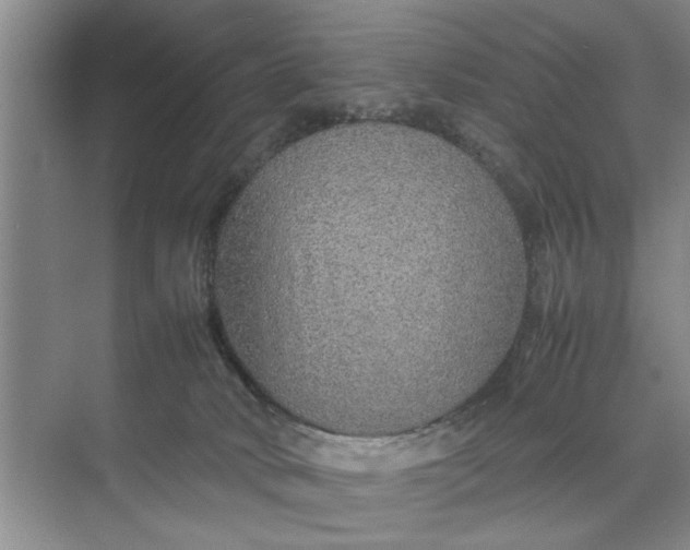 X0000070210034200606091636