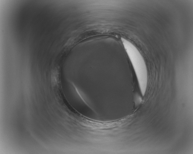 X0000070210035200606091636