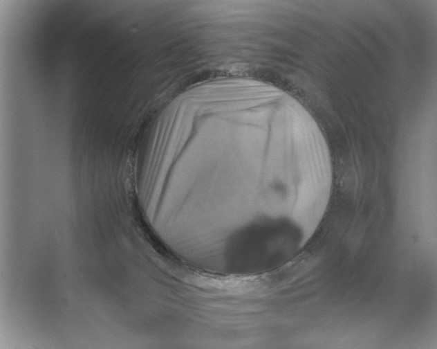 X0000070210036200606091636