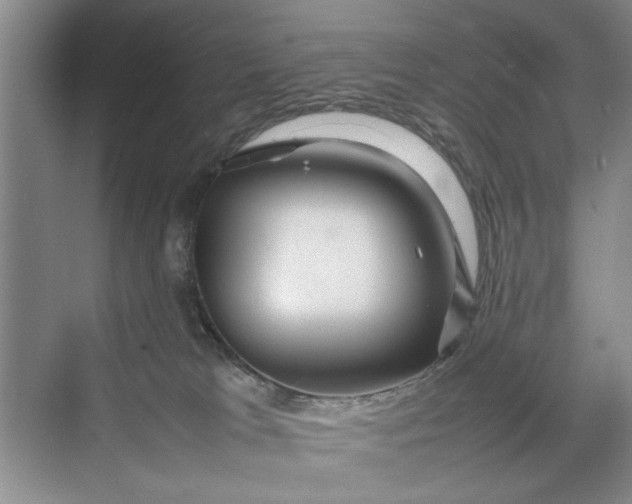 X0000070210037200606091636