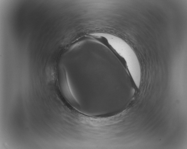 X0000070210039200606091636