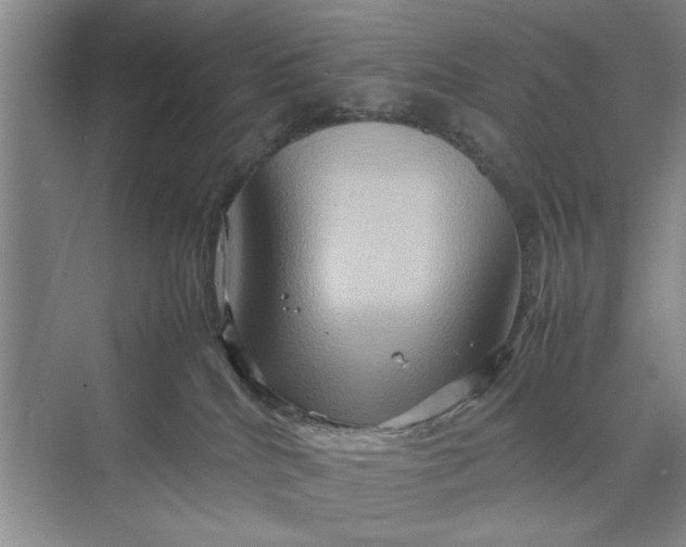 X0000070210040200606091636