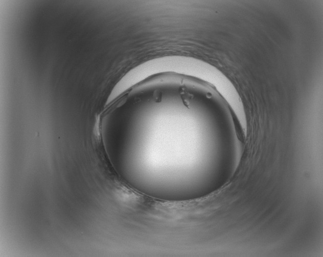 X0000070210041200606091636