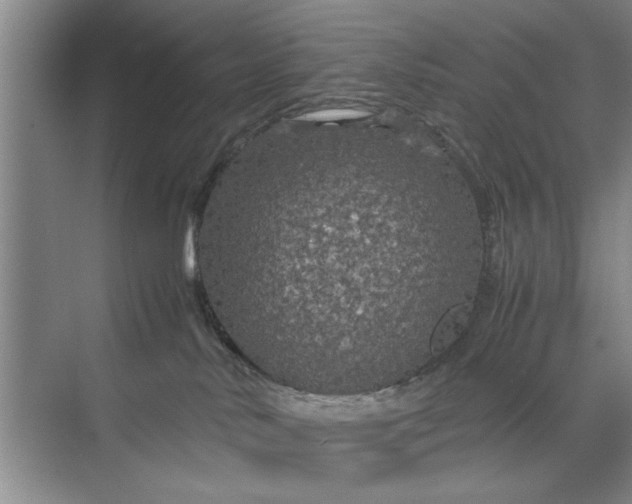 X0000070210042200606091636