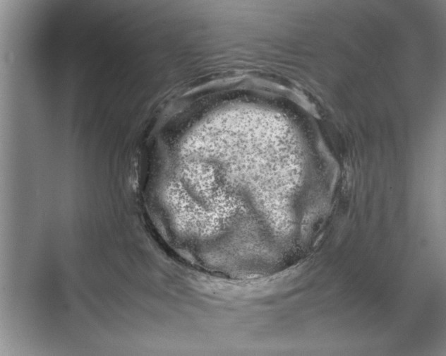 X0000070210043200606091636