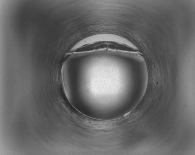 X0000070210044200606091636