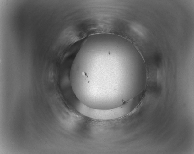 X0000070210045200606091636