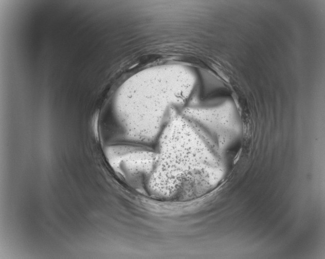 X0000070210047200606091636