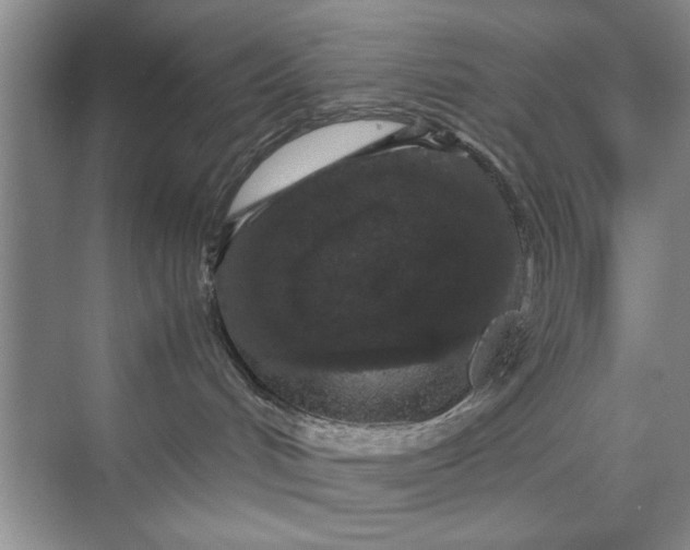 X0000070210048200606091636