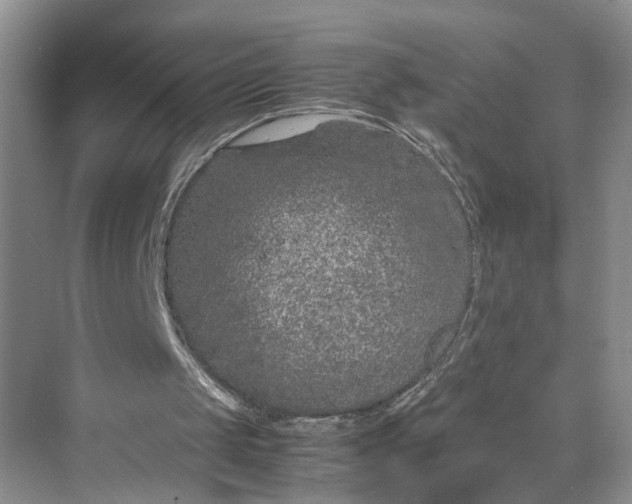 X0000070210049200606091635