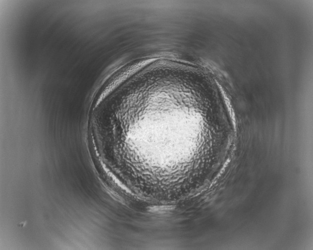 X0000070210051200606091635