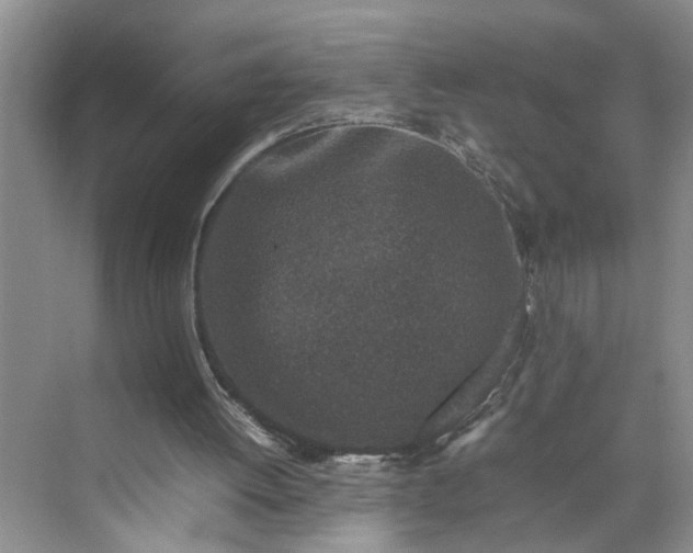 X0000070210052200606091635