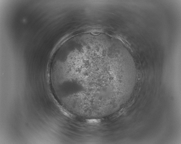 X0000070210053200606091635