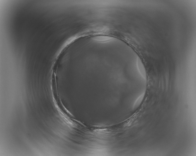 X0000070210054200606091635