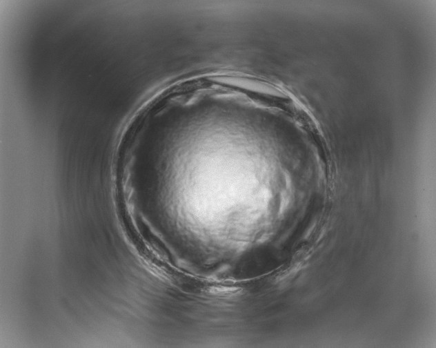 X0000070210055200606091635