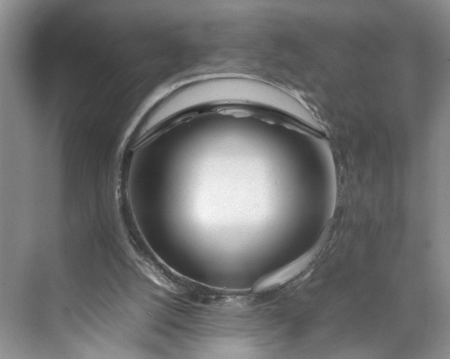 X0000070210056200606091635